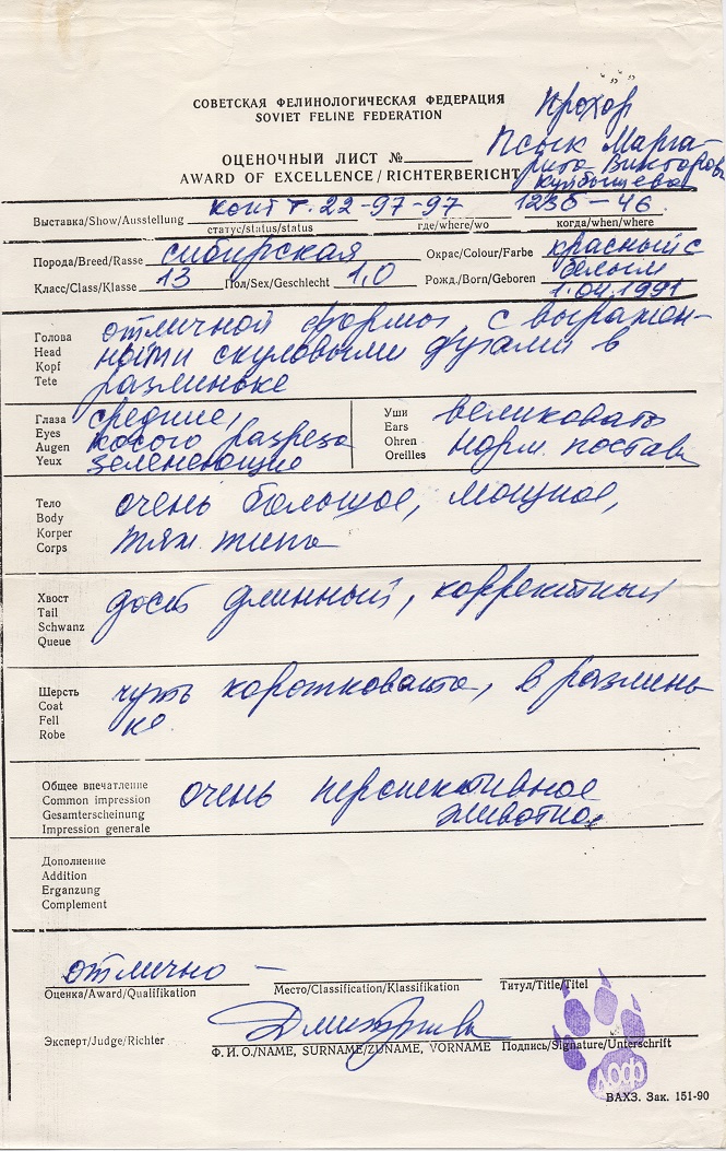 Оценочный лист кота